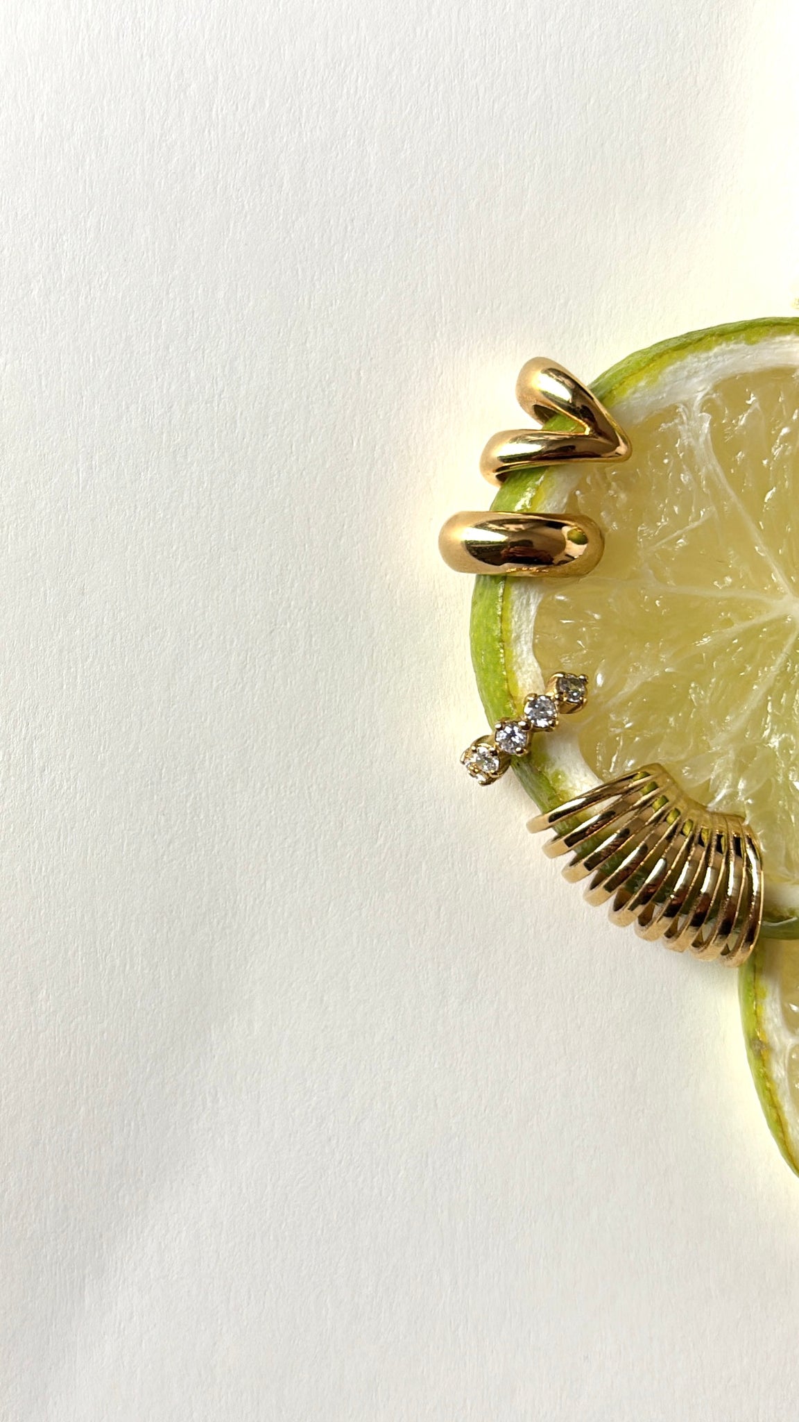 Paula Earcuff