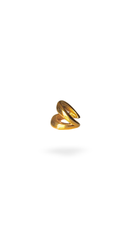 Paula Earcuff