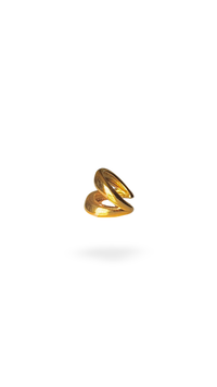 Paula Earcuff