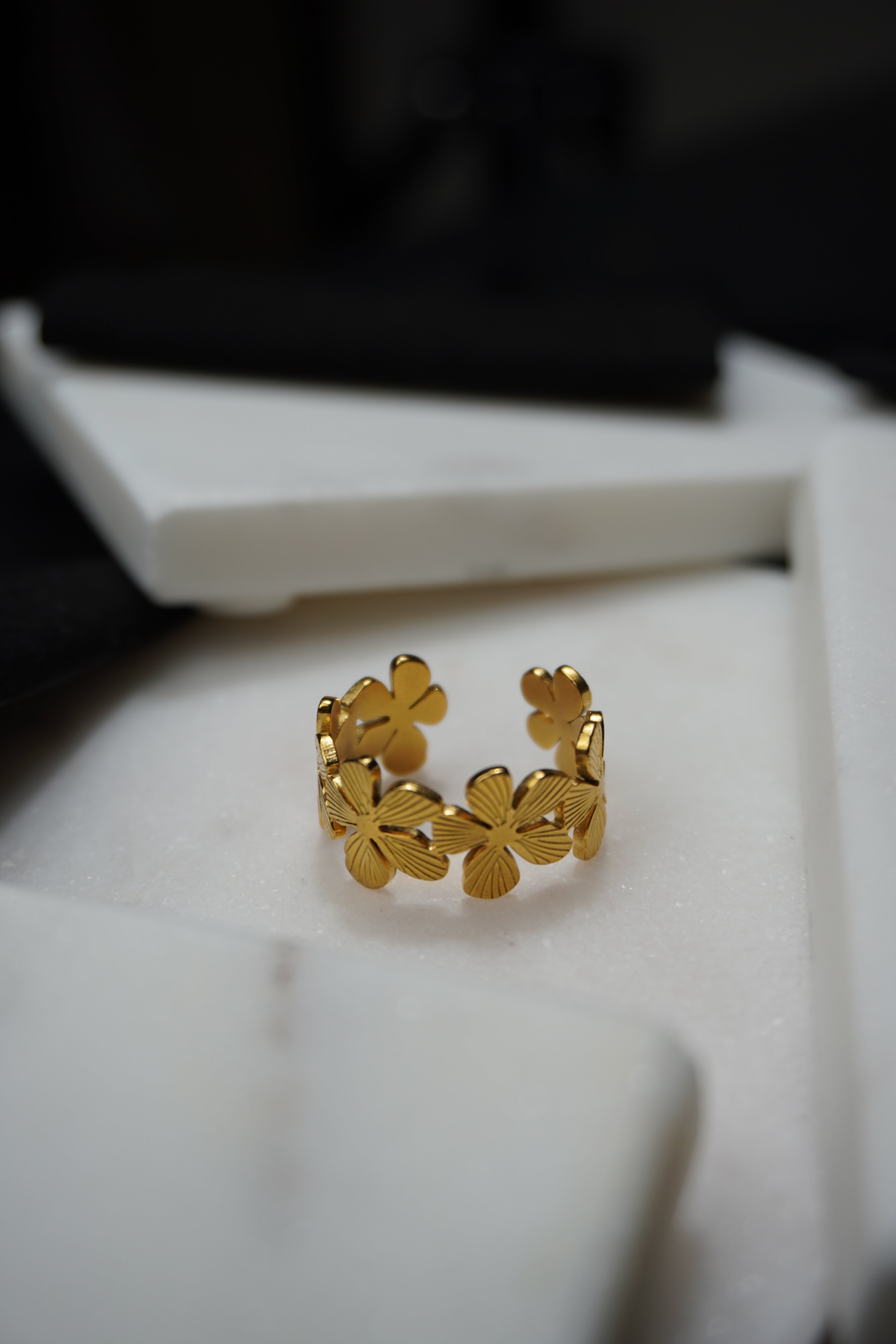 Lysa  Bague