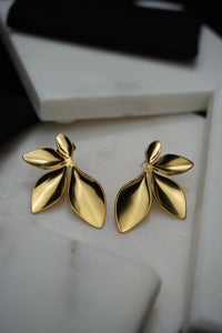 Sara boucles