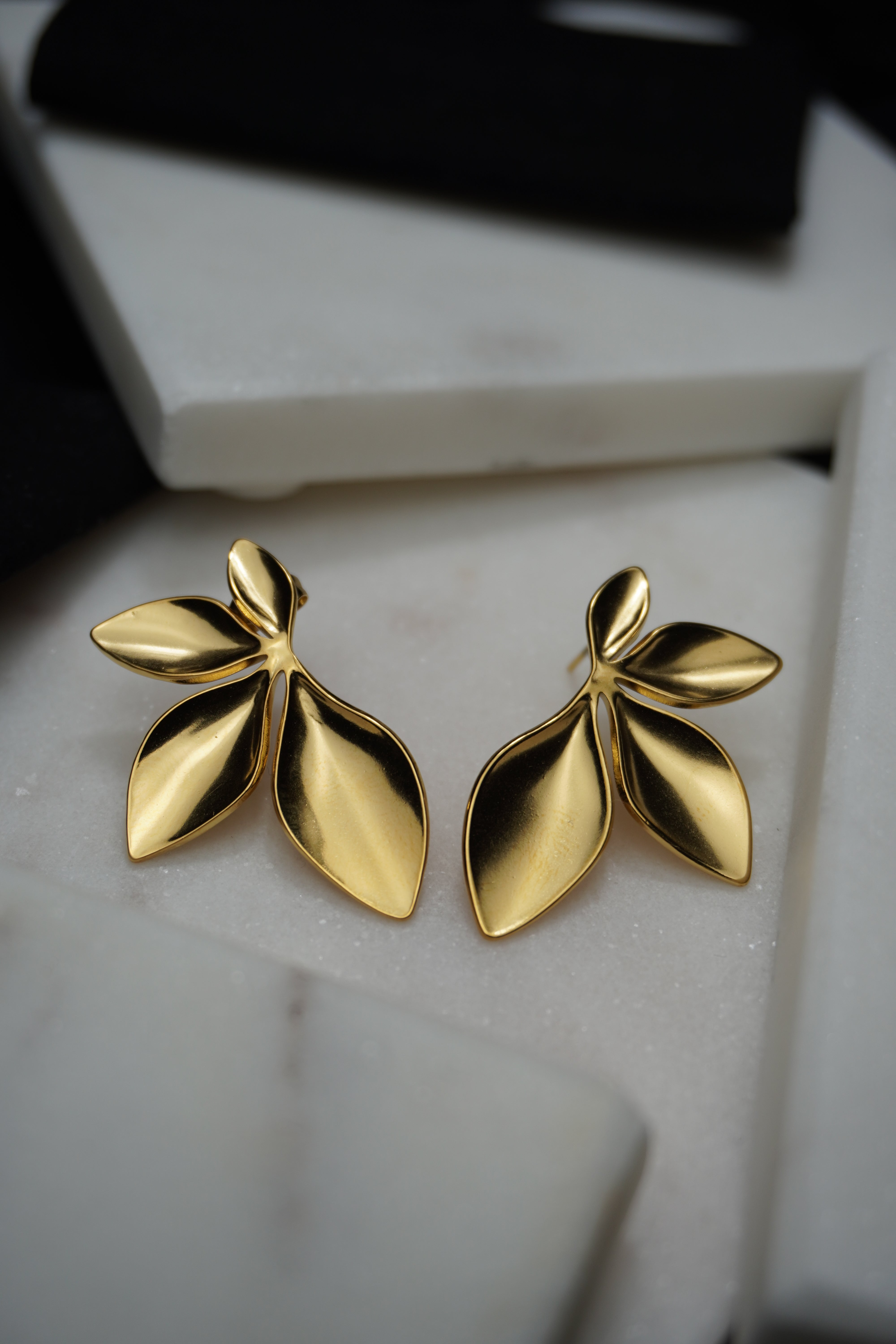 Sara boucles