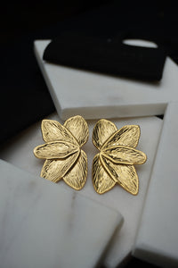 Gladys Boucles