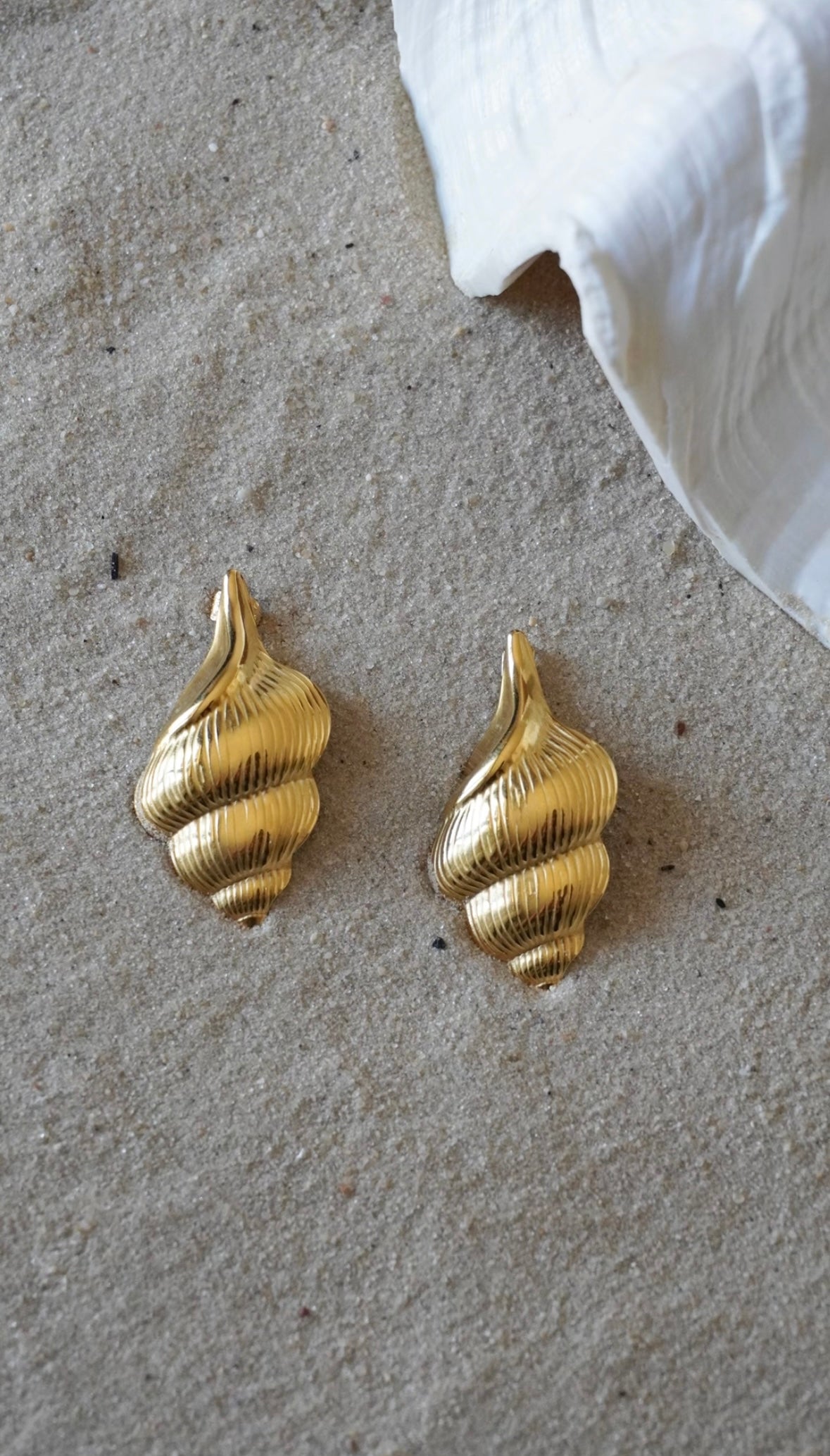 Dominique boucles
