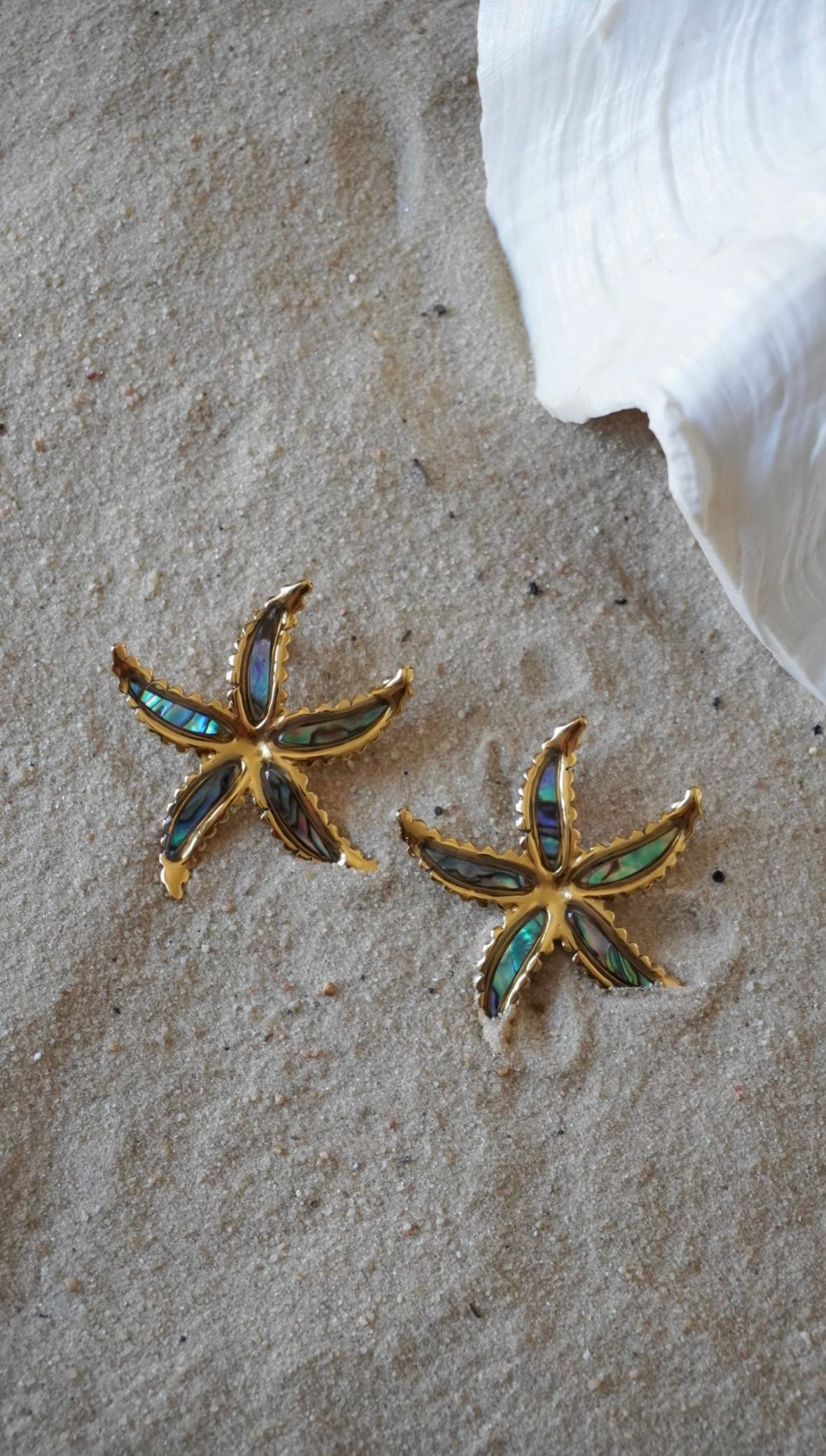 Shelly boucles