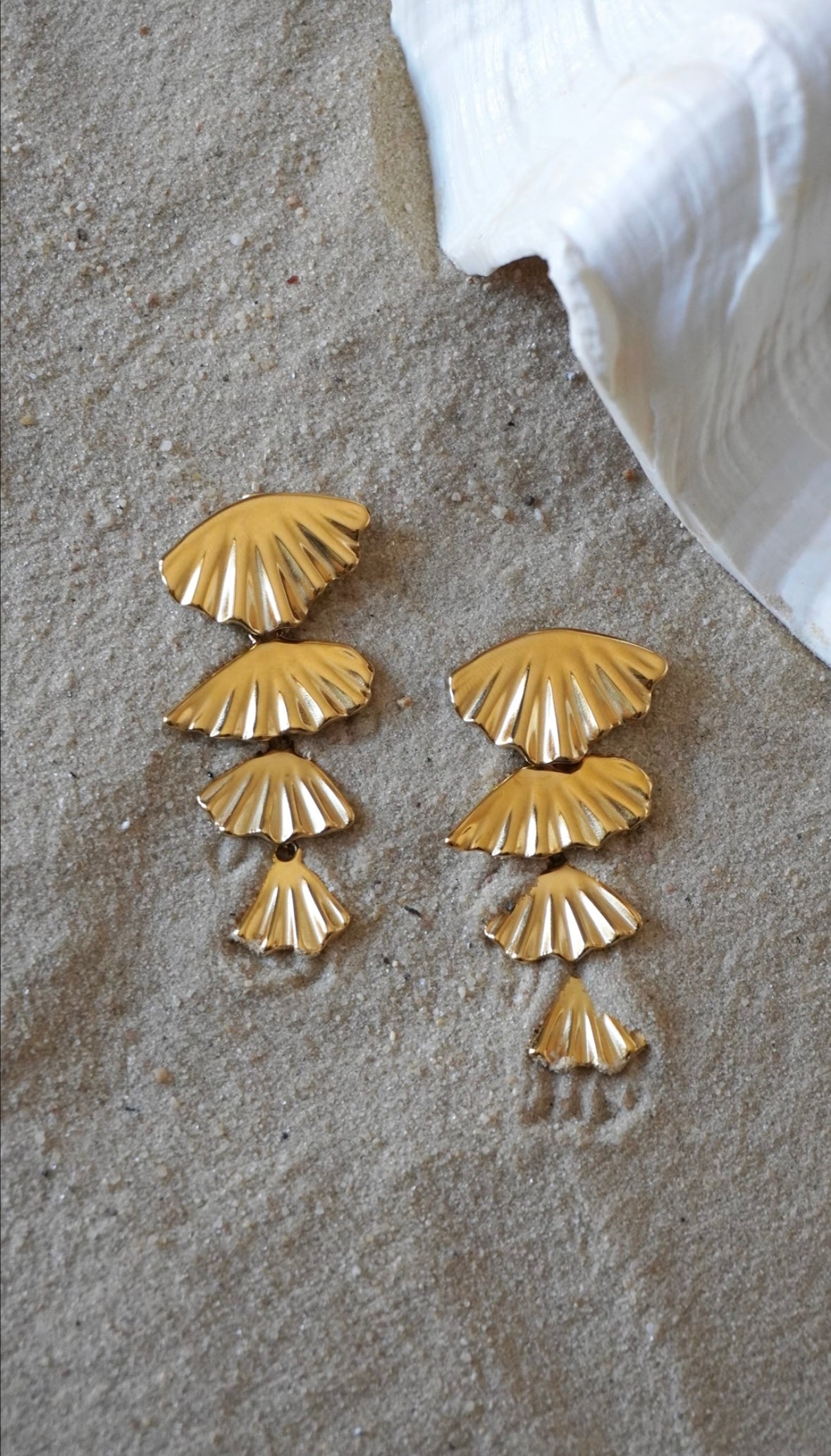 Donia boucles