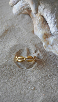 Cory Bague