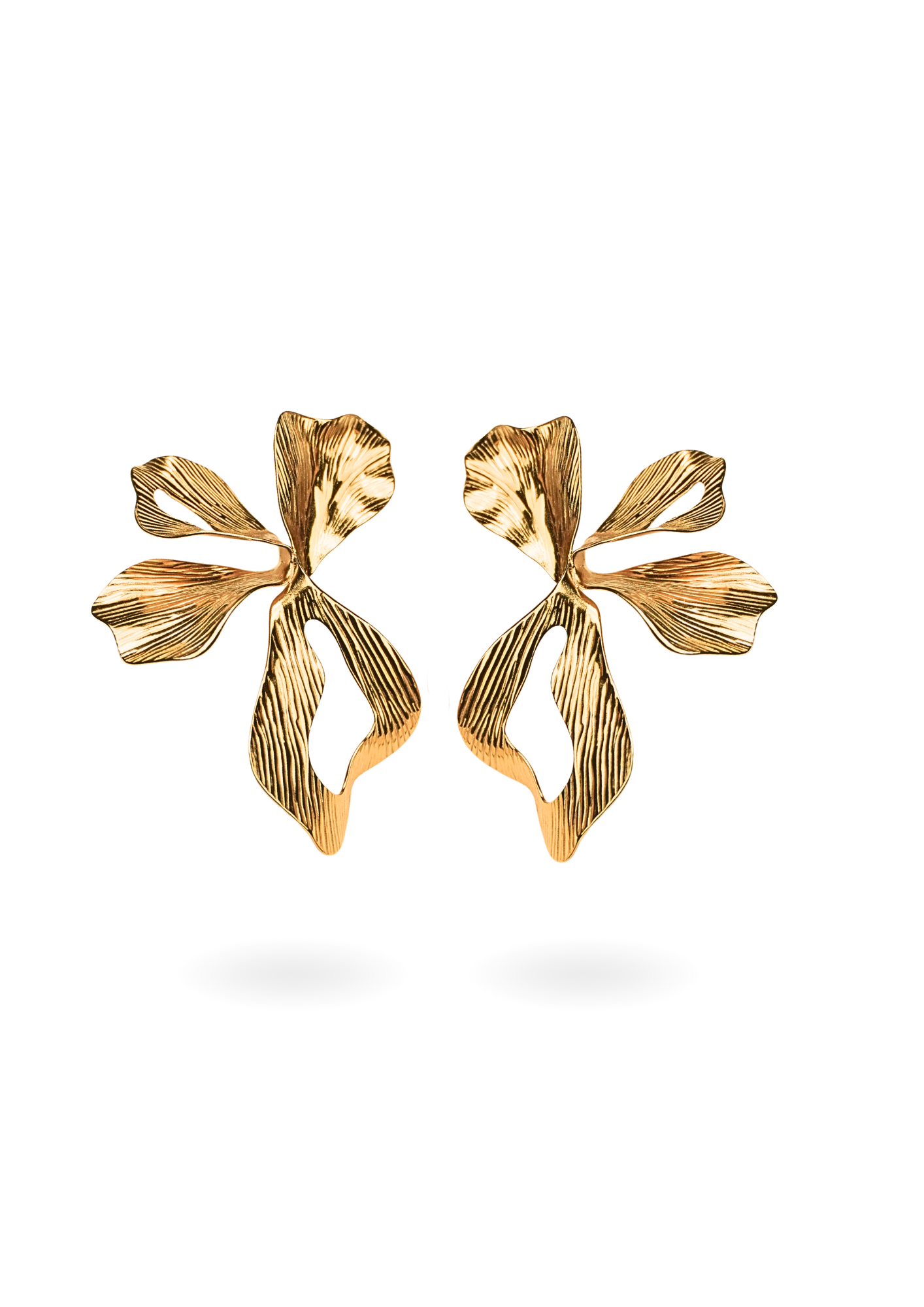 Floria boucles