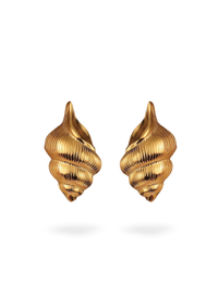 Dominique boucles