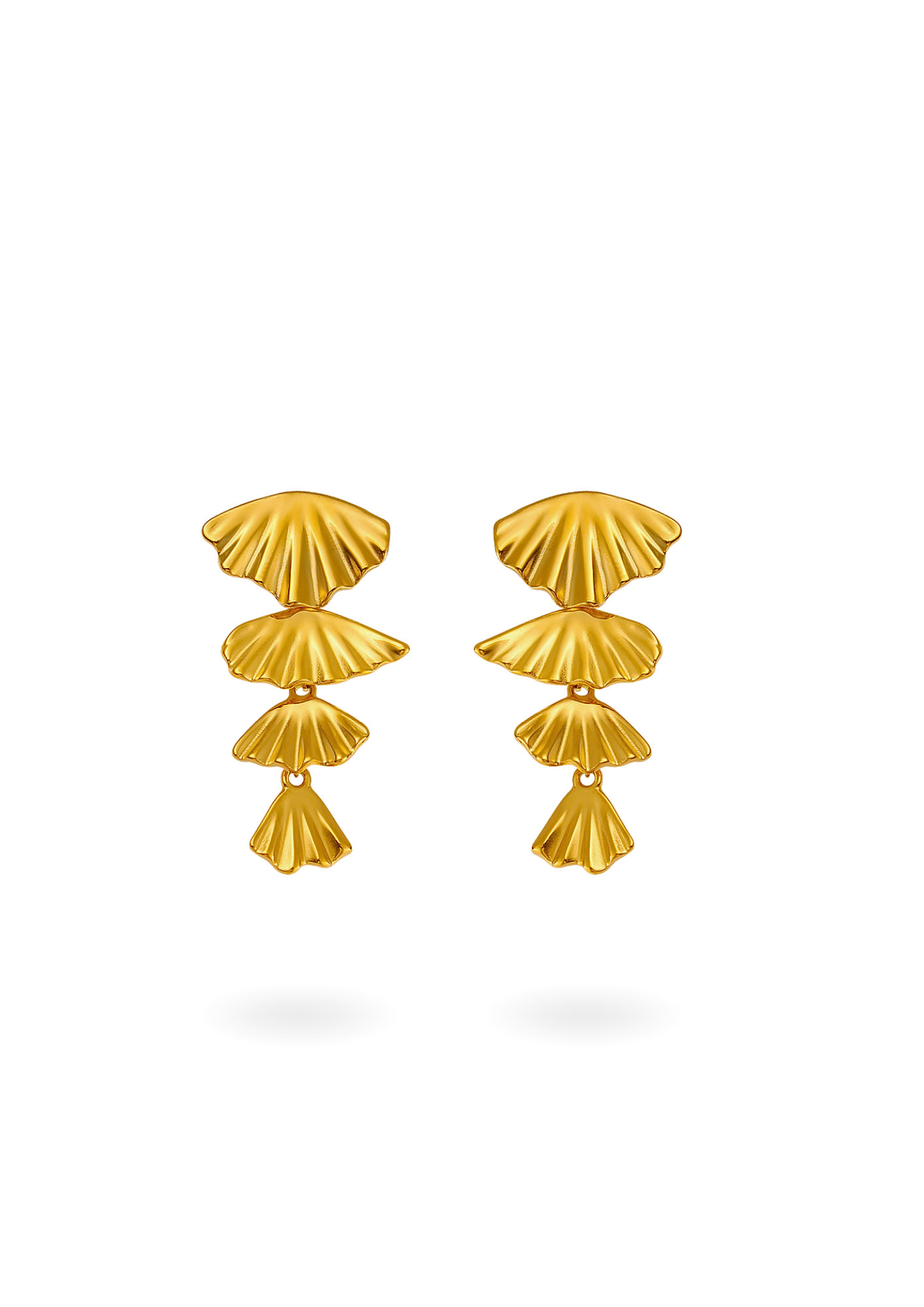 Donia boucles