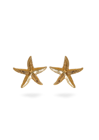 Tina boucles