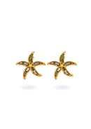 Shelly boucles