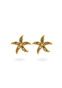Shelly boucles
